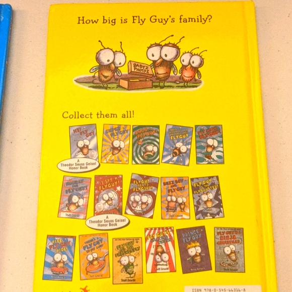 Fly Guy by Tedd Arnold - Picture 3 of 7